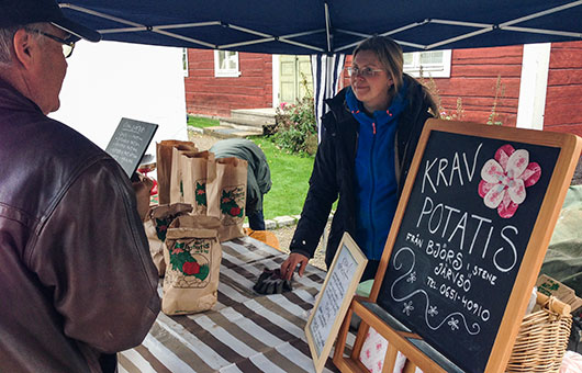 Anna Björs säljer KRAVmärkt potatis. Foto: Pelle Nyberg